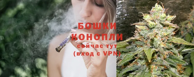 купить  цена  Лосино-Петровский  Марихуана OG Kush 